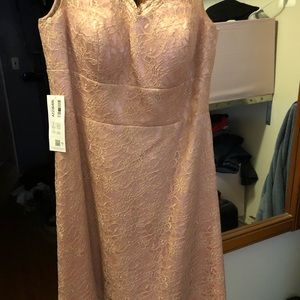 Brand new Azazie Shift Dress